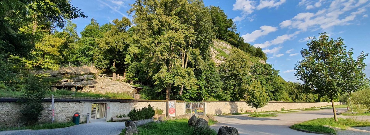 Steinbock Kassa Zoo Salzburg © TVB Puch - Gerber